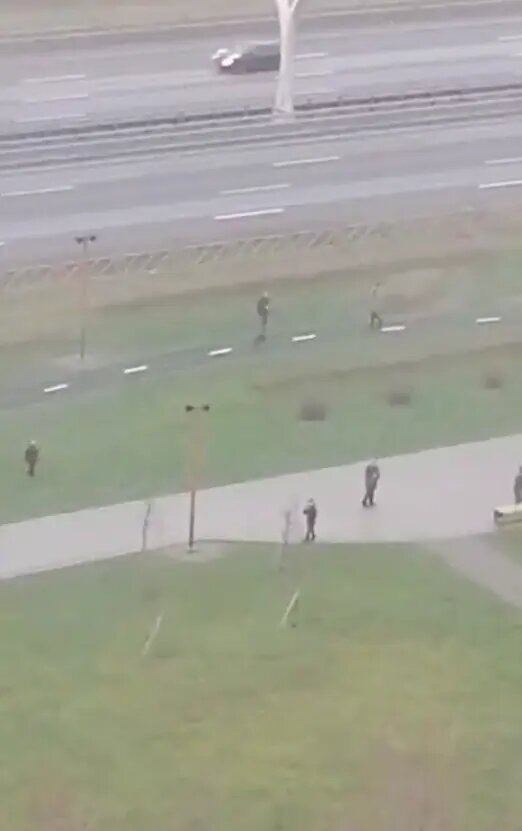    Фото: стоп-кадр видео из телеграм-канала «Мегаполис | ДТП и ЧП | Санкт-Петербург | Питер»