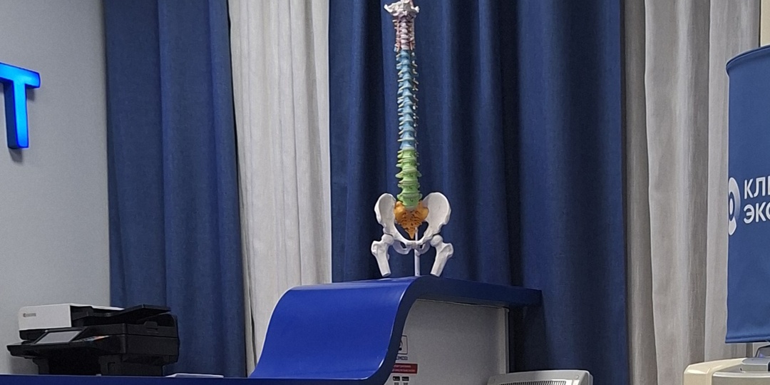 6 недель моего похудения. Результат, который важен не только на весах.