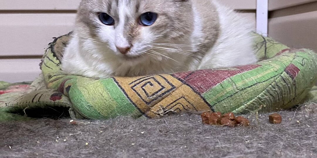 Спасибо за вашу помощь!