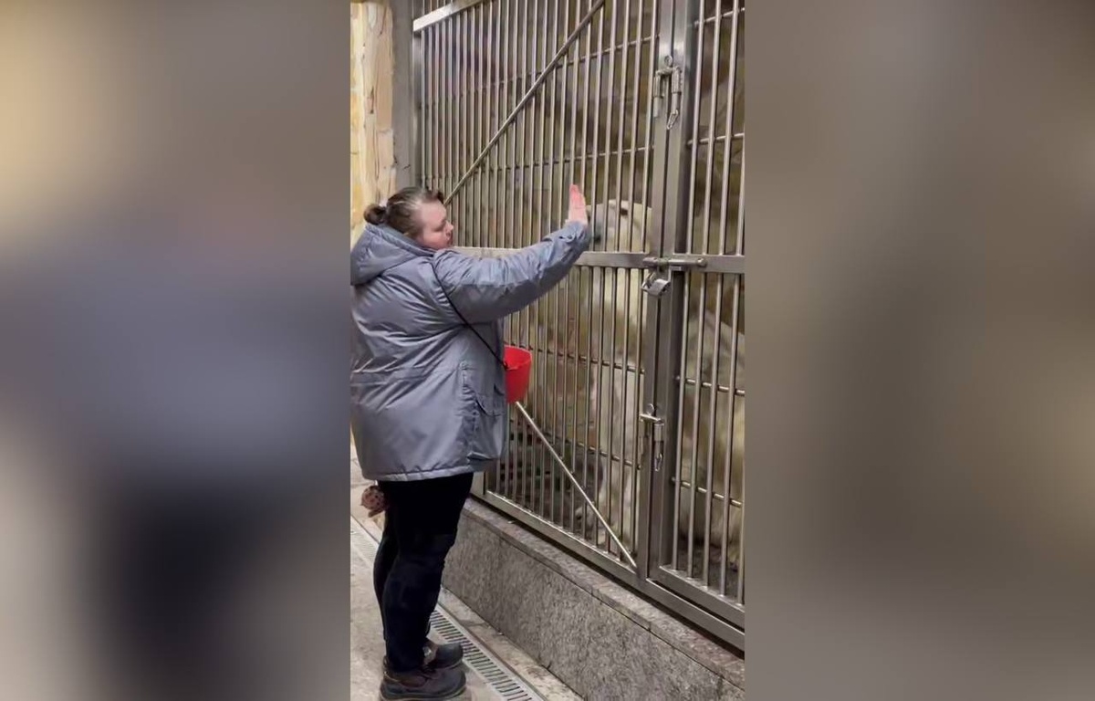 Фото: кадр видео пресс-службы Ленинградского зоопарка