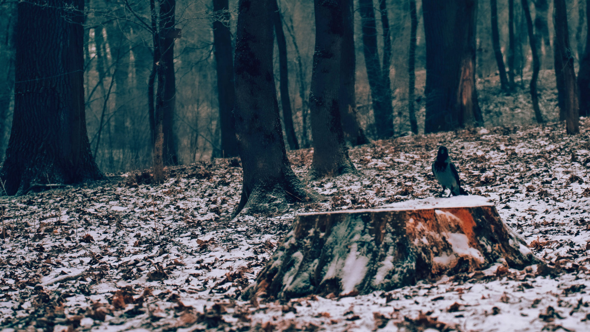 Светлана Мулыкина📷
