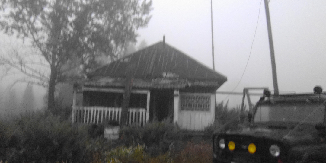 Тихеевка и медведь-пастух: Байки и реальность умирающей деревни