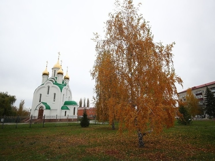     © Фото: ИД «Волгоградская правда» / архив.