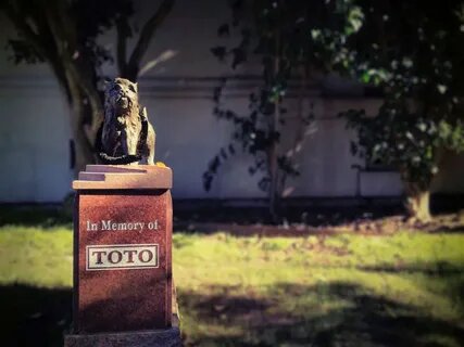 фото secretlifeofmom.com