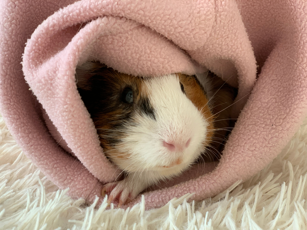 Прям Мона Лиза