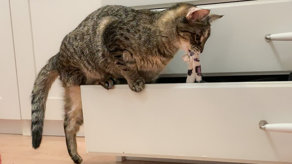 Лана знает где спрятаны сокровища