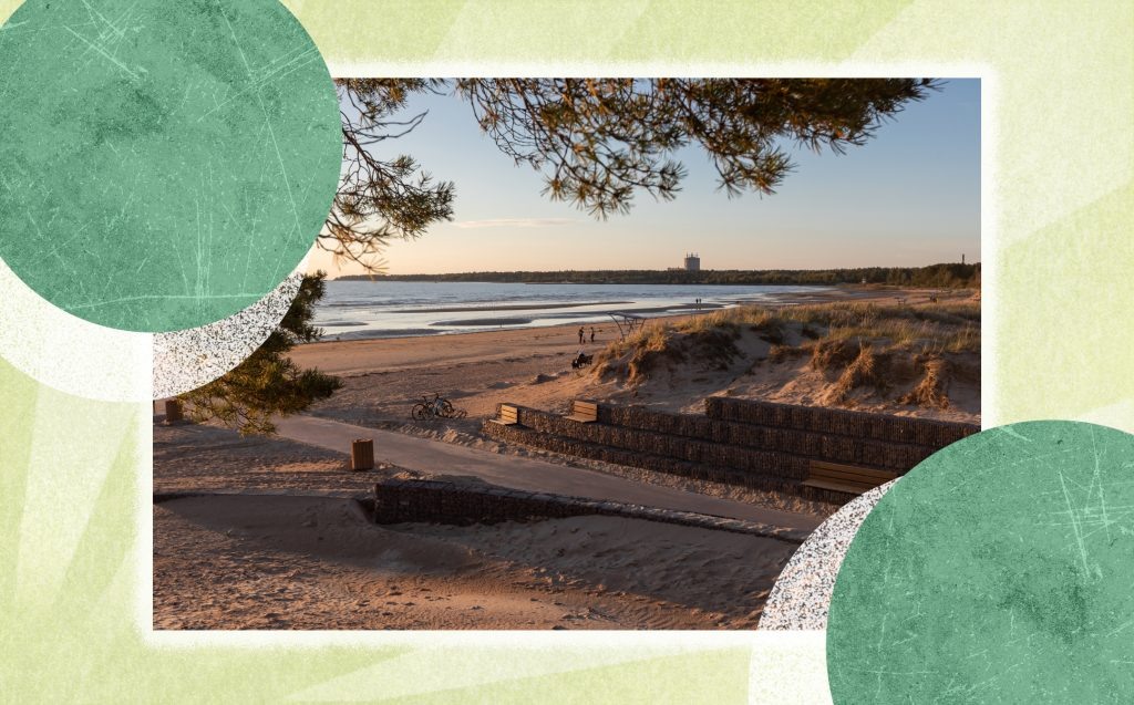 Берег Финского залива в Сосновом Бору. Источник: Проектное бюро «М4»