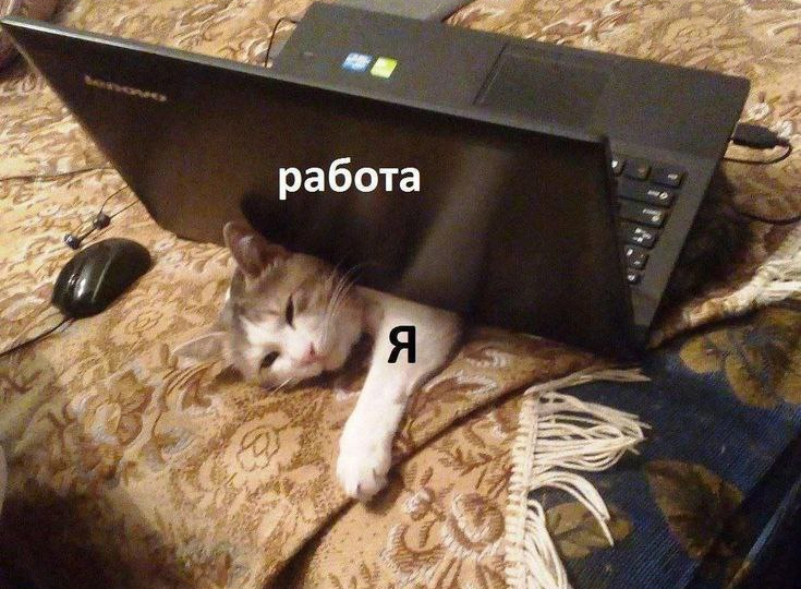 Антиэйдж в офисе: как замедлять старение, не меняя график