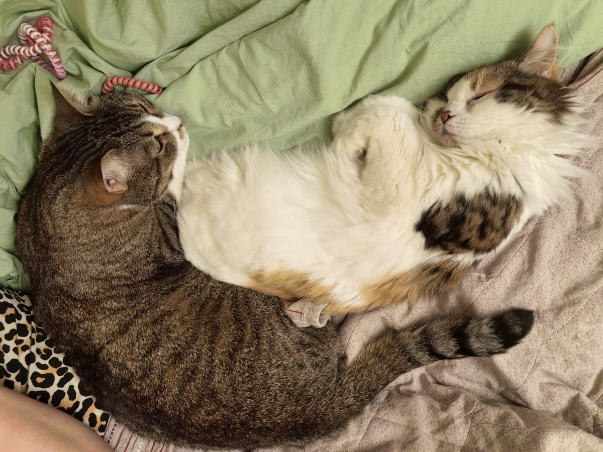 Василий охраняет сон Моники))