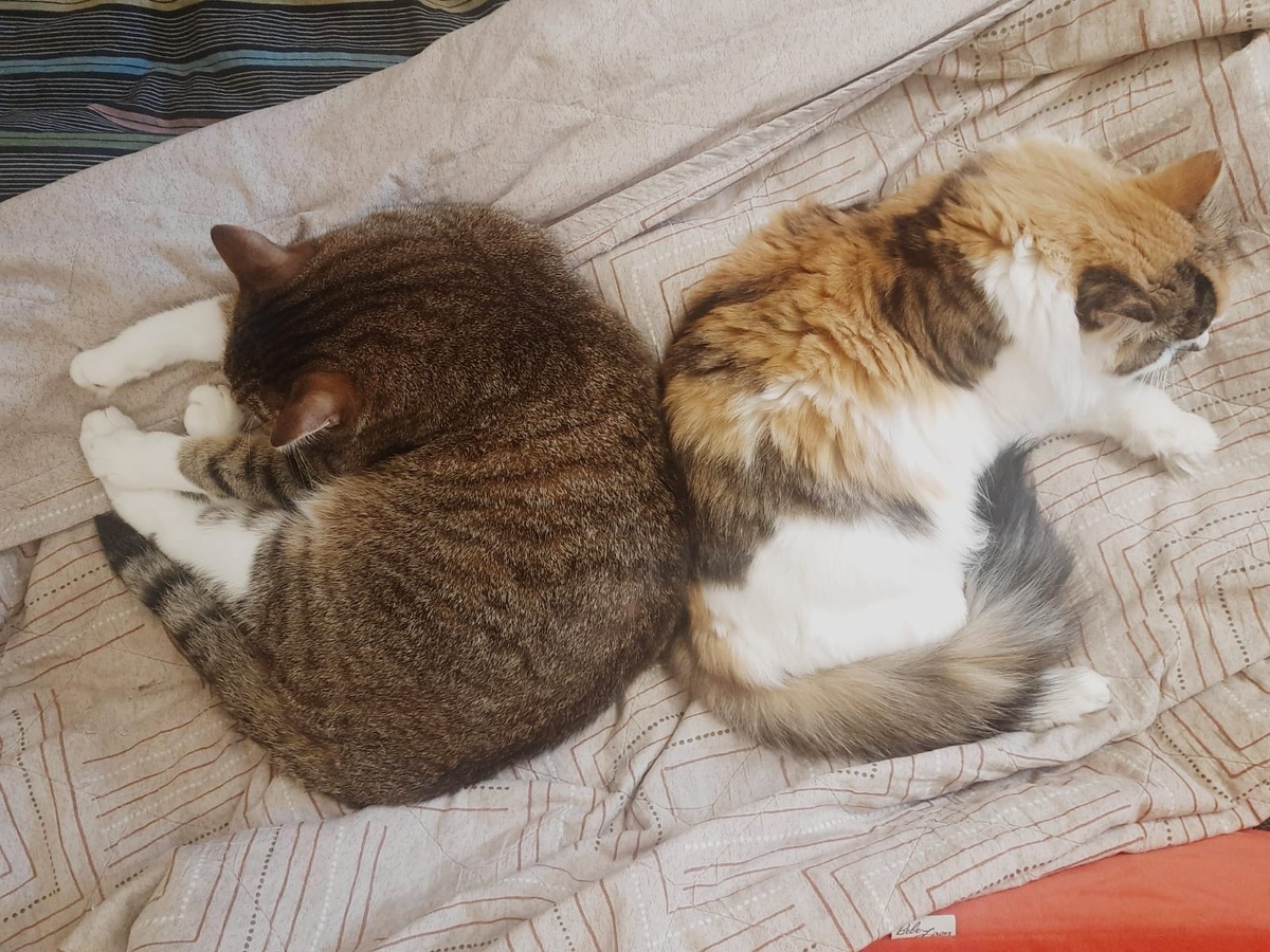 Вася с Моникой - спинка к спинке)