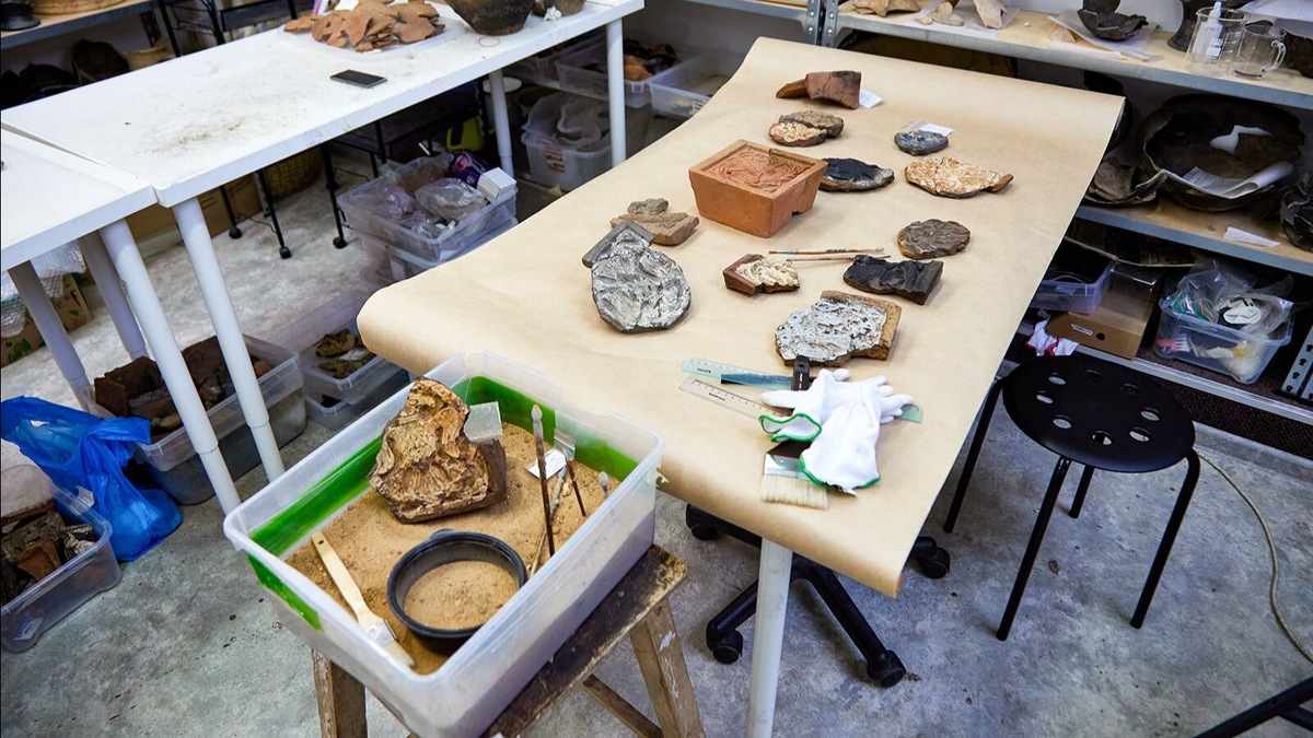    Источник: mos.ru