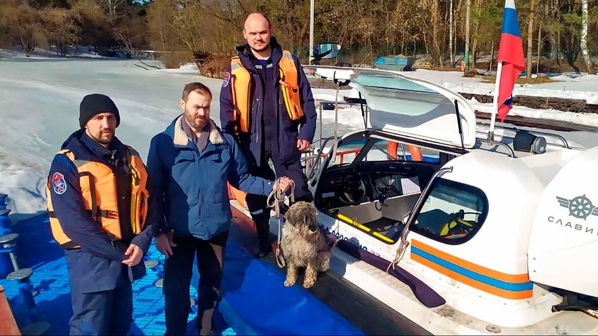    Источник: Пресс-служба Департамента по делам гражданской обороны, чрезвычайным ситуациям и пожарной безопасности города Москвы