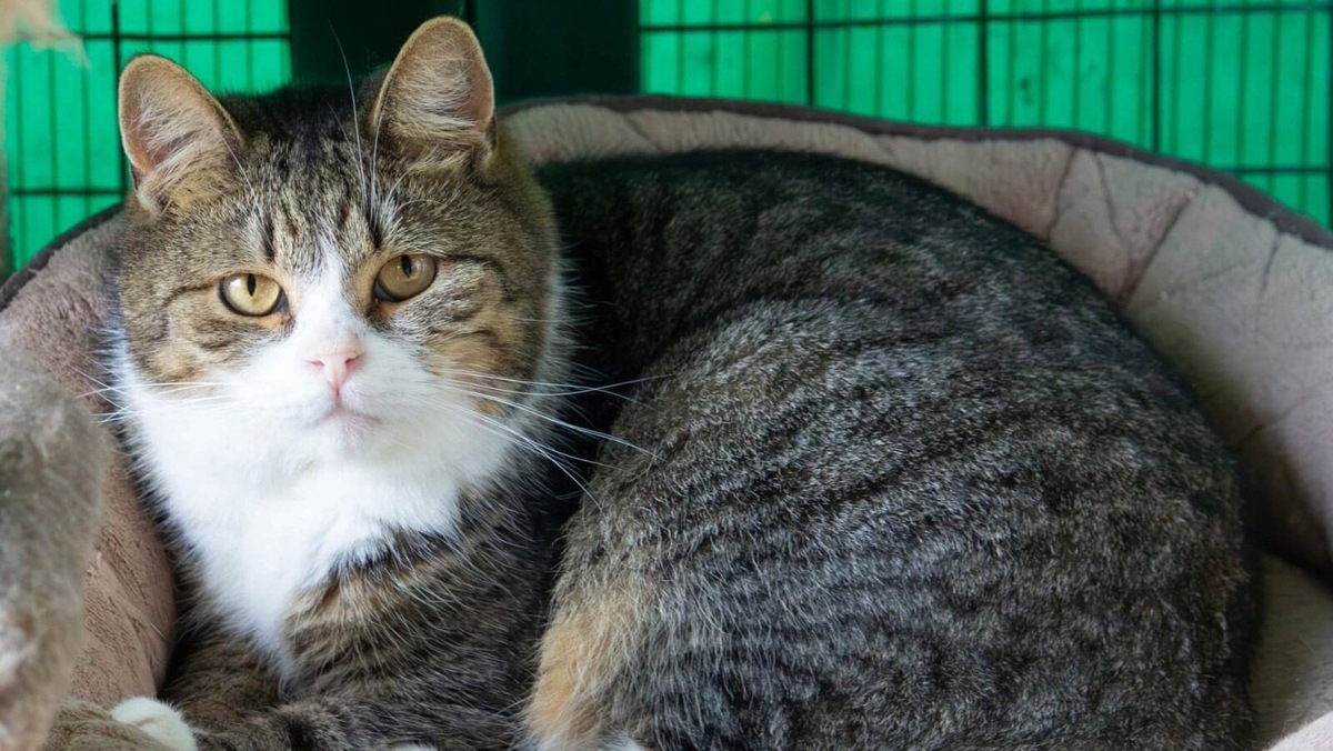    Источник: mos.ru