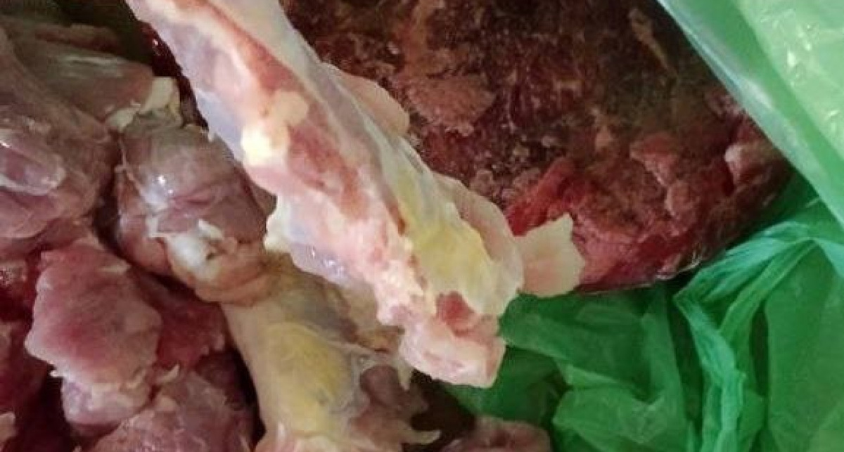    Новости Ярославля