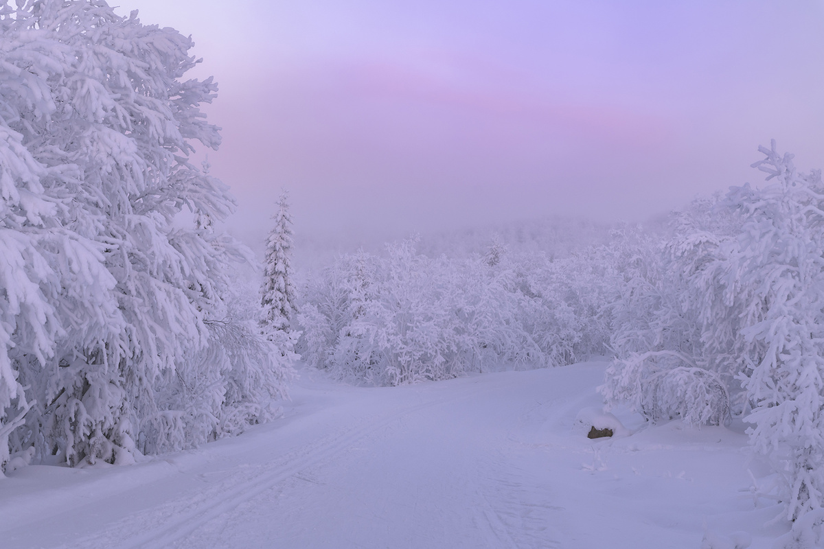 На лыжной трассе.