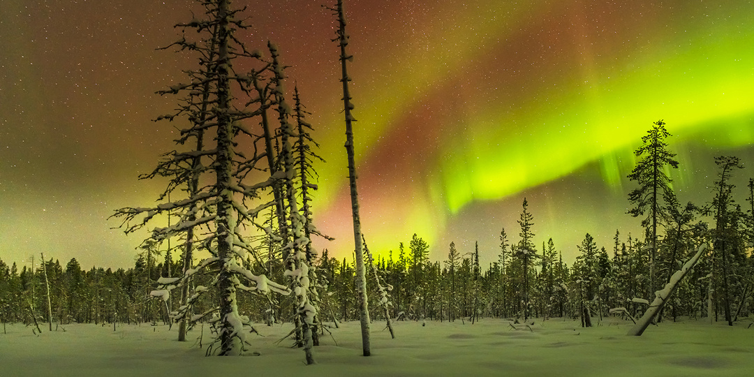 УРА!!!Наступил мой любимый сезон!Зима пришла в Мурманск.