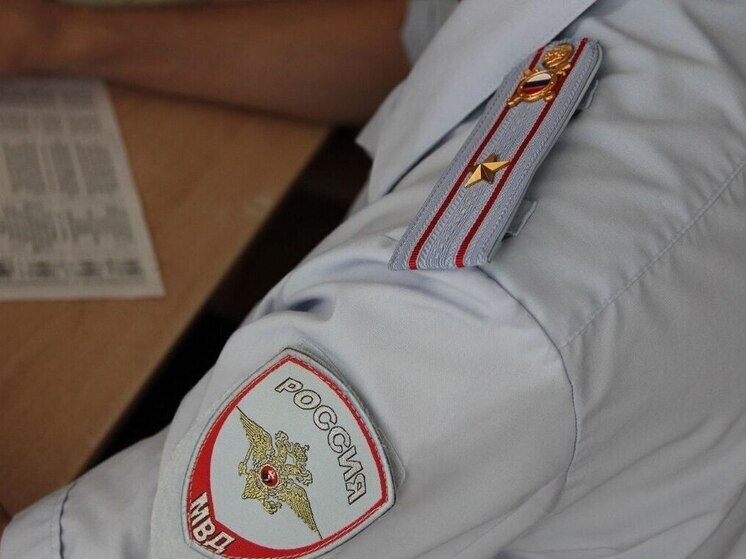     Фото: ГУ МВД России по СК