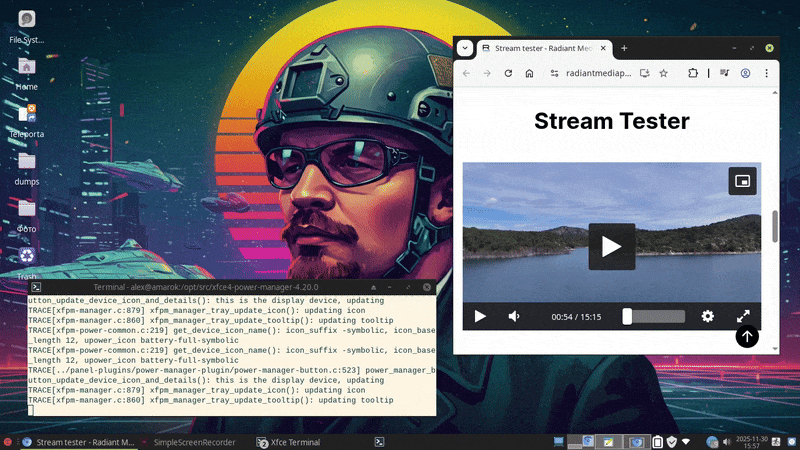В этот знаменательный день браузер Chrome пошел лесом.