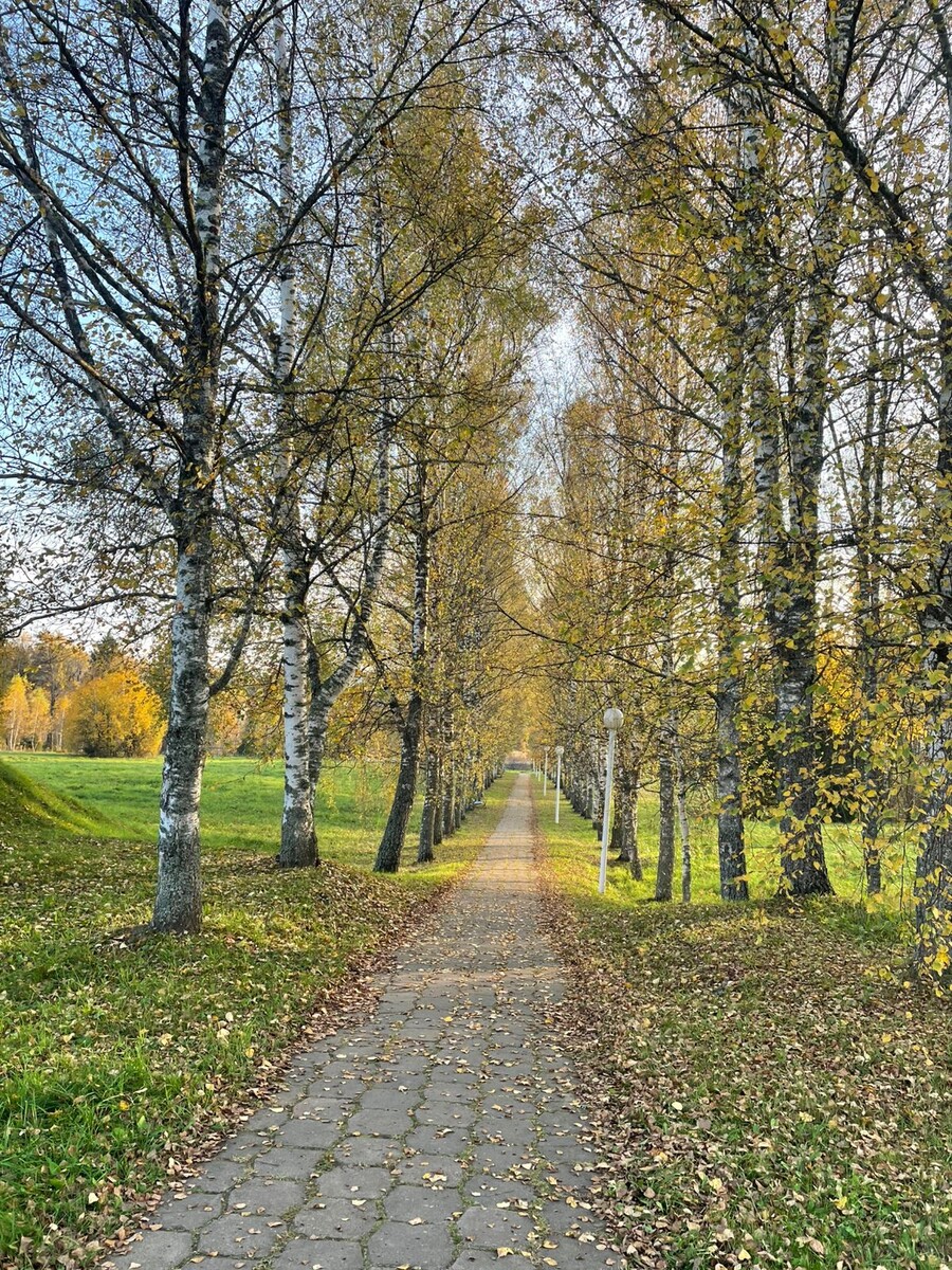 Все фото в статье авторские.