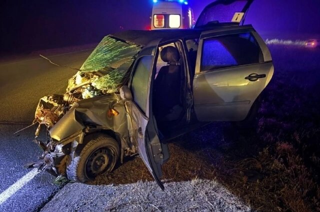    Фото: УМВД по Оренбургской области