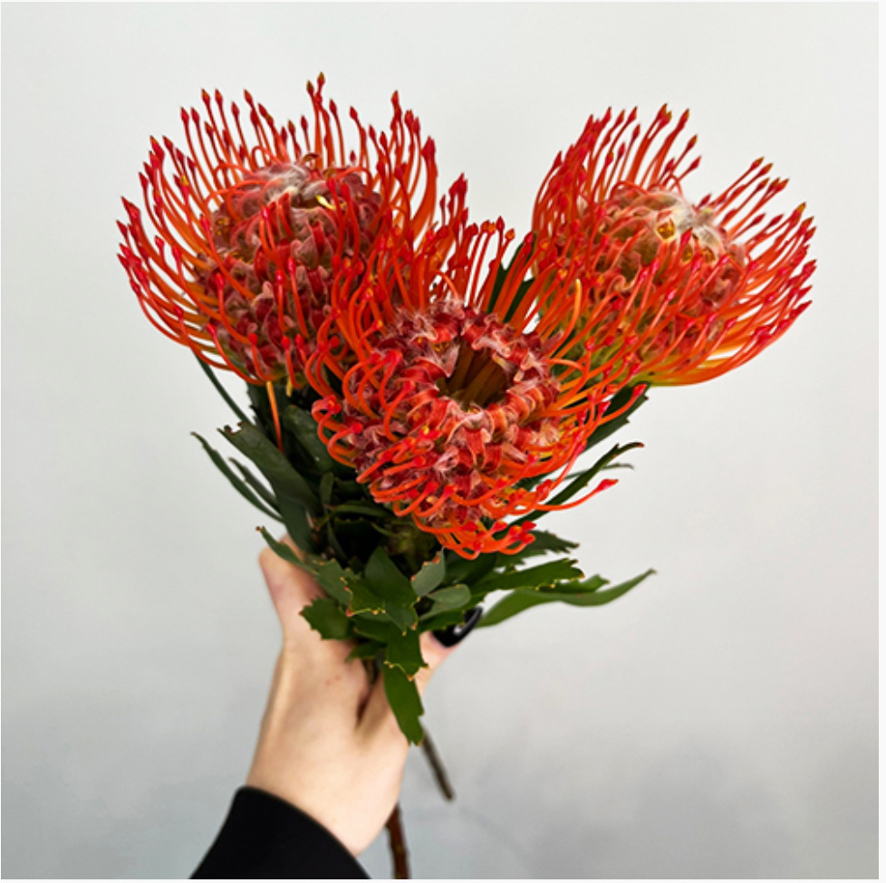 Букет, который заказали. Фото с сайта магазина 