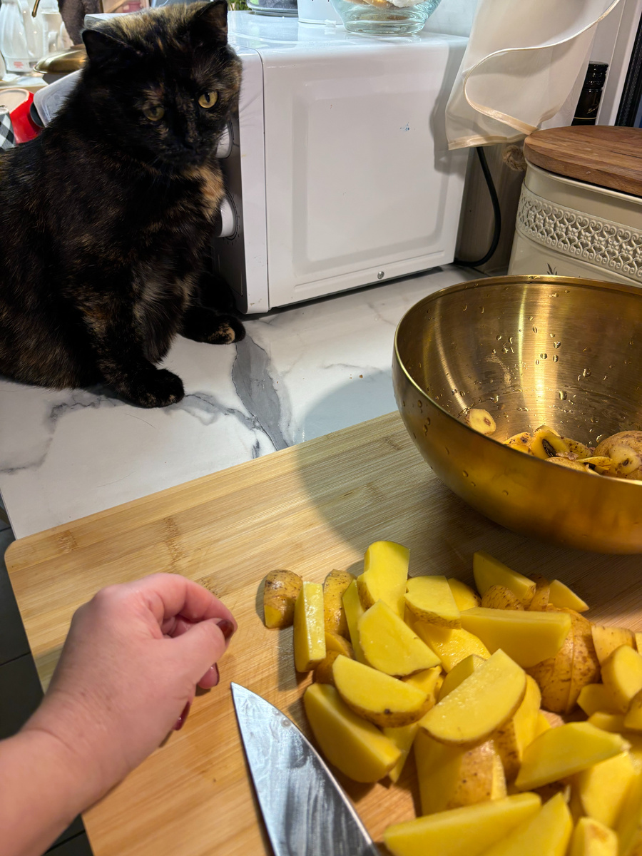 Кот не обязателен)))) Но кто ж еще будет следить за правильным приготовлением?