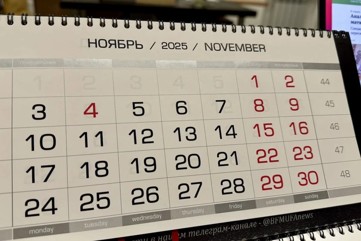 Фото: UfacityNews.ru