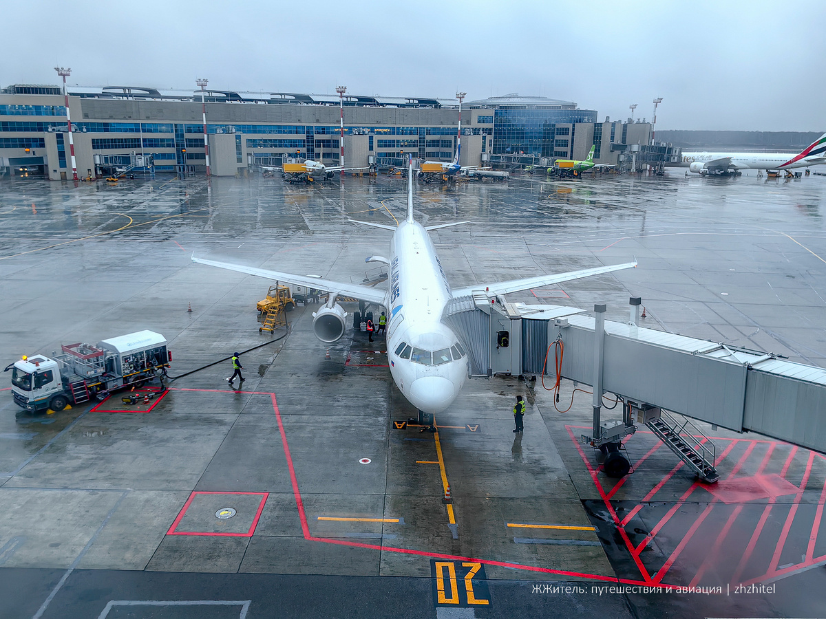 Вид на перрон Домодедово. Наш самолет готовят к полету