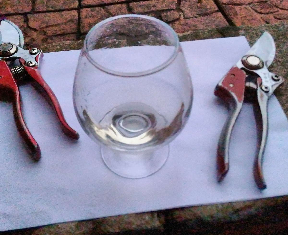 На фото моё моно вино из Соляриса урожая 2020 года. Оно как раз было с остаточной газацией