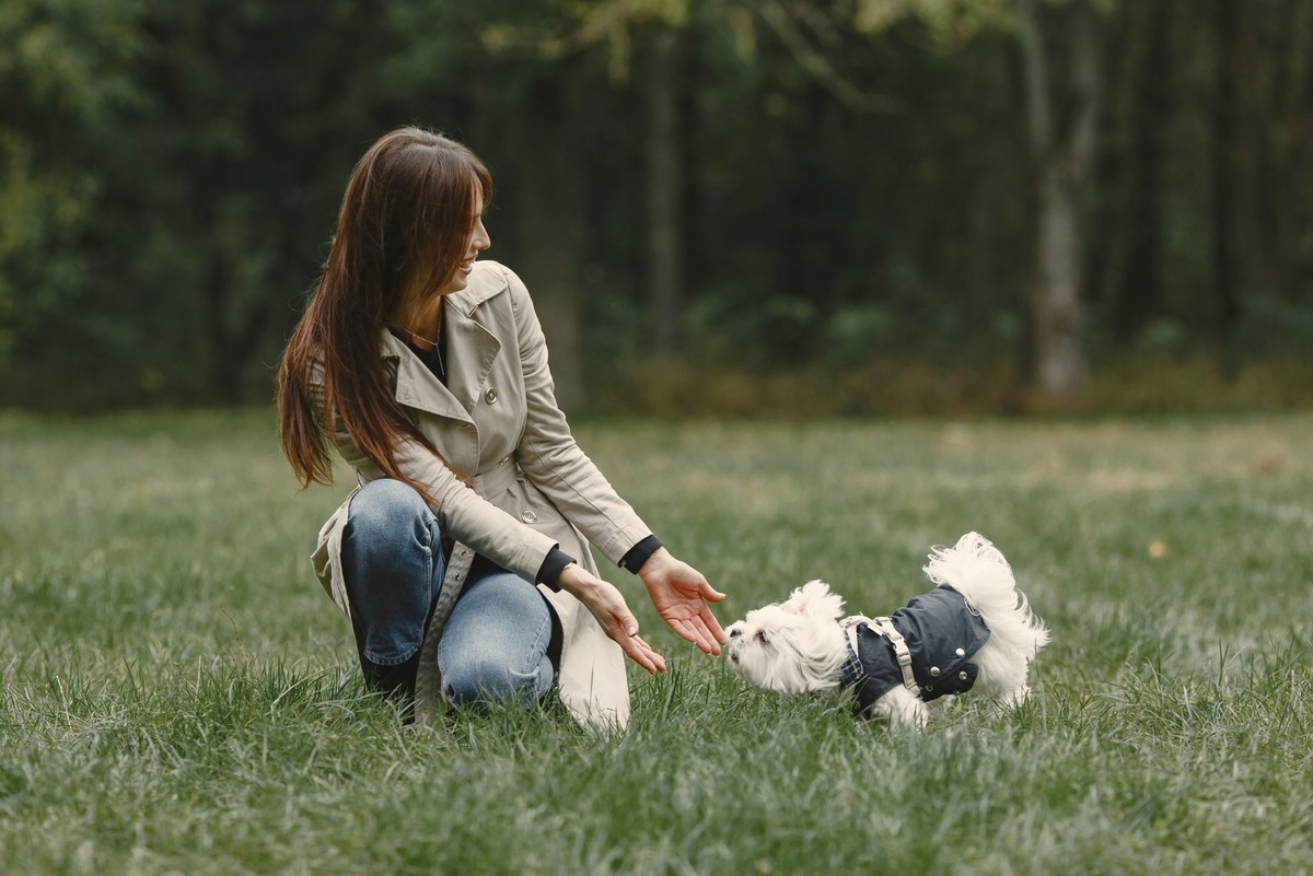   Научите собаку команде «Гуляй», чтобы сделать ваш совместный отдых безопасным и понятным