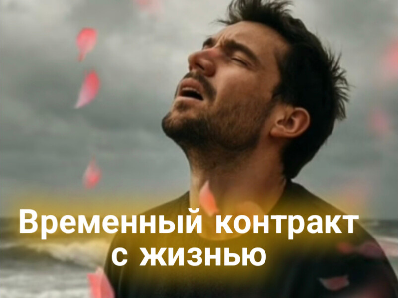 Фото из интернета. Живи и кайфуй. 