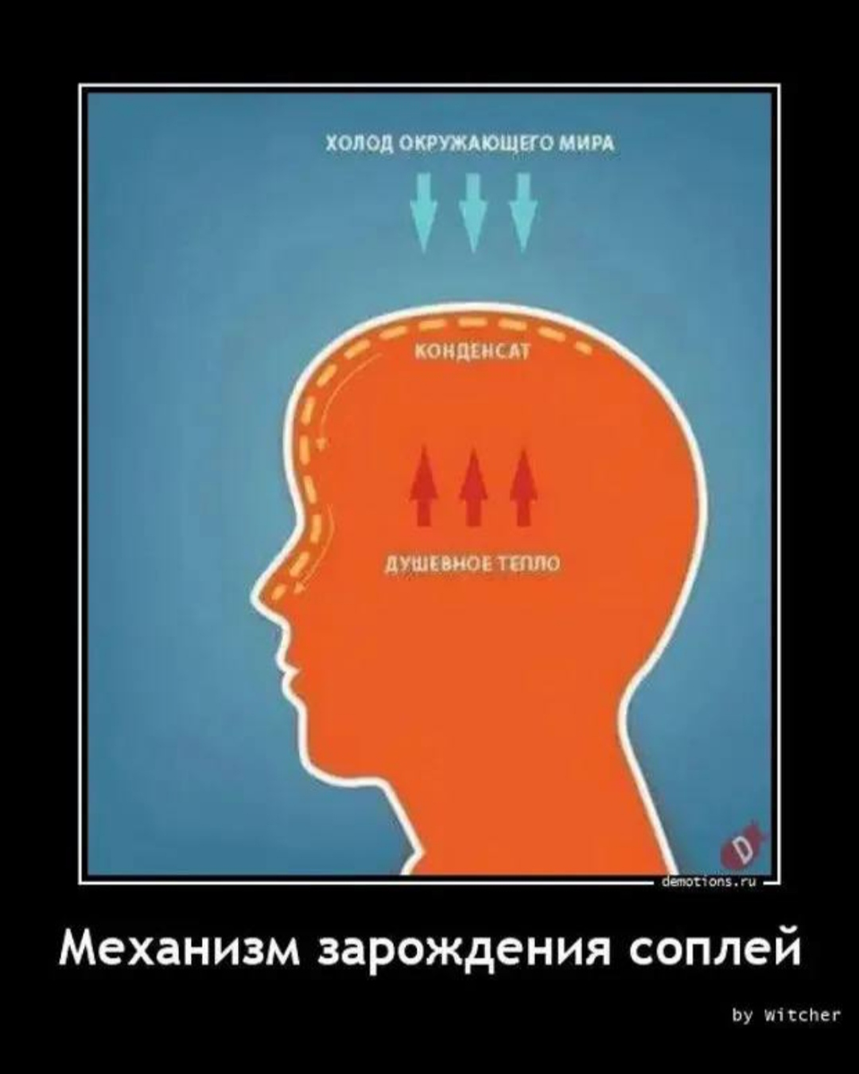 Яндекс-картинка