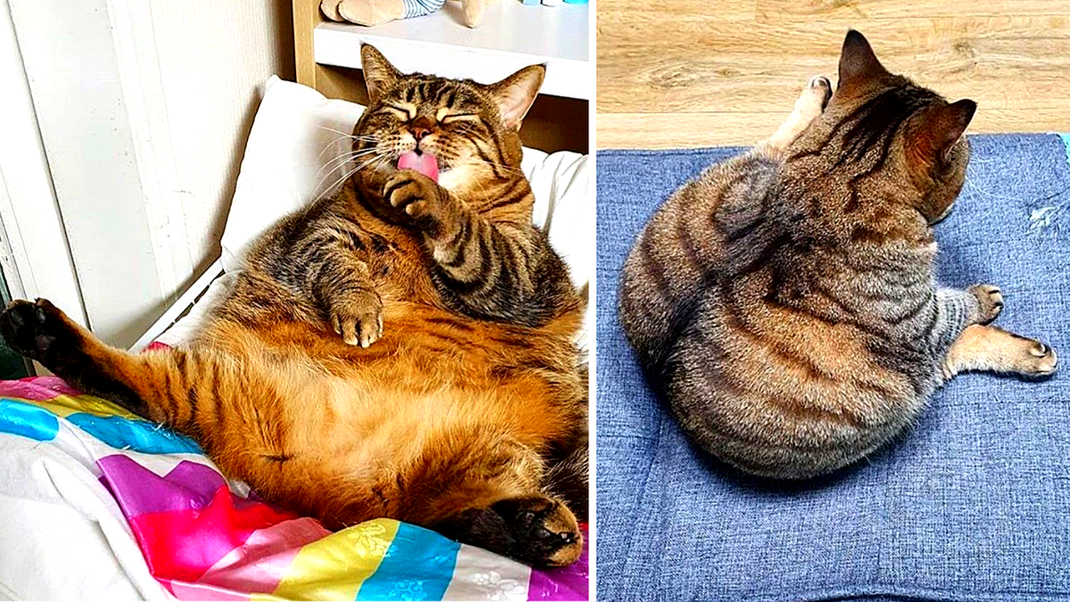 Я красавчик несомненно - не нужны мне перемены!