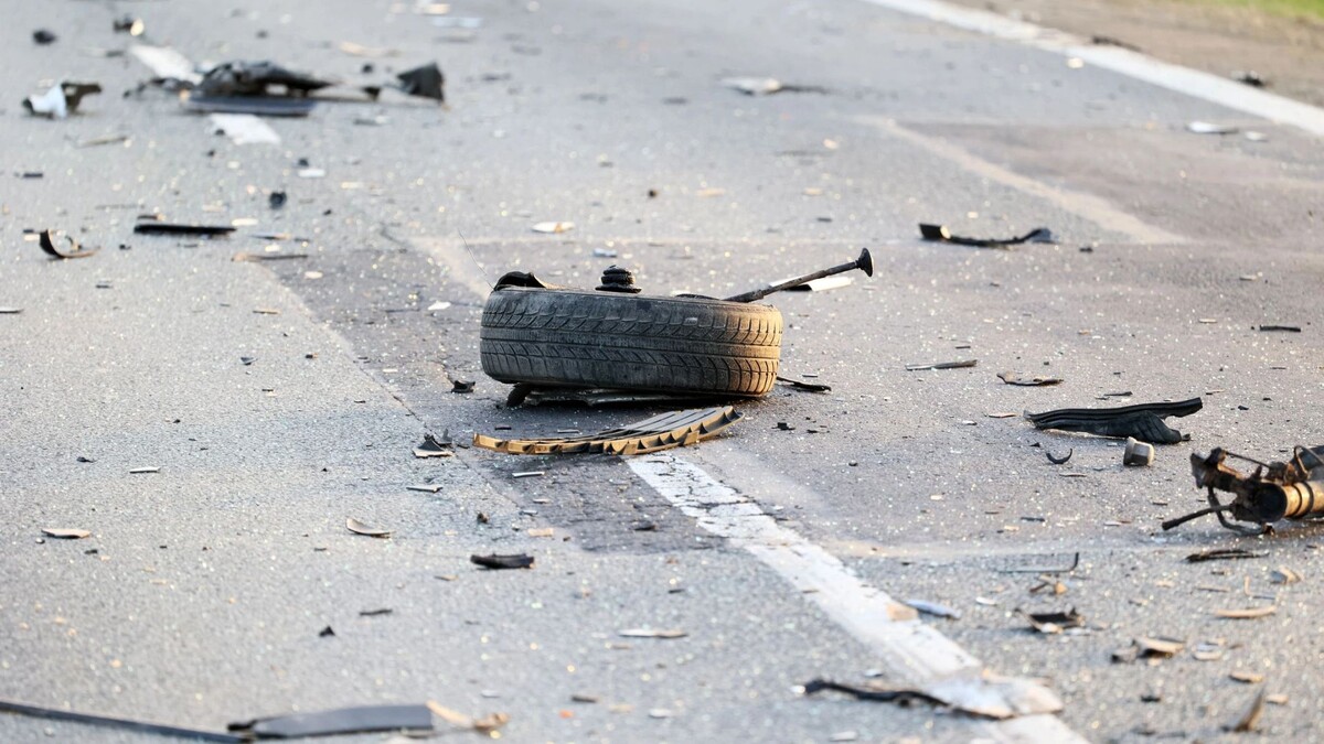    Фото: FotoDax/Shutterstock/Fotodom