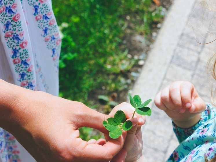     Фото: Архив МК в Питере.