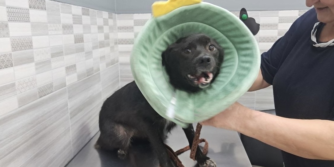 Оливия снова у врача