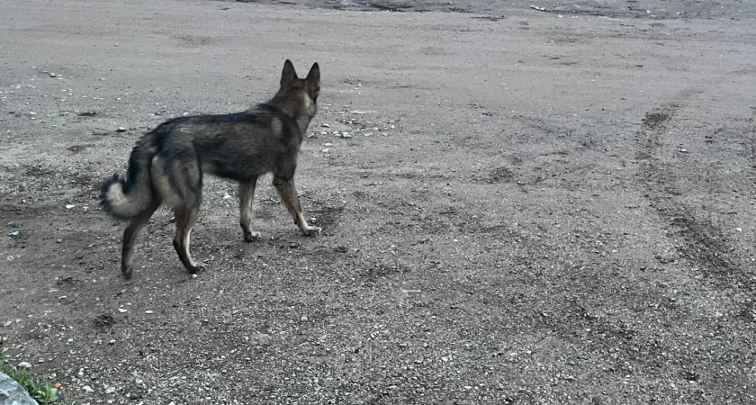    Фото из архива редакции