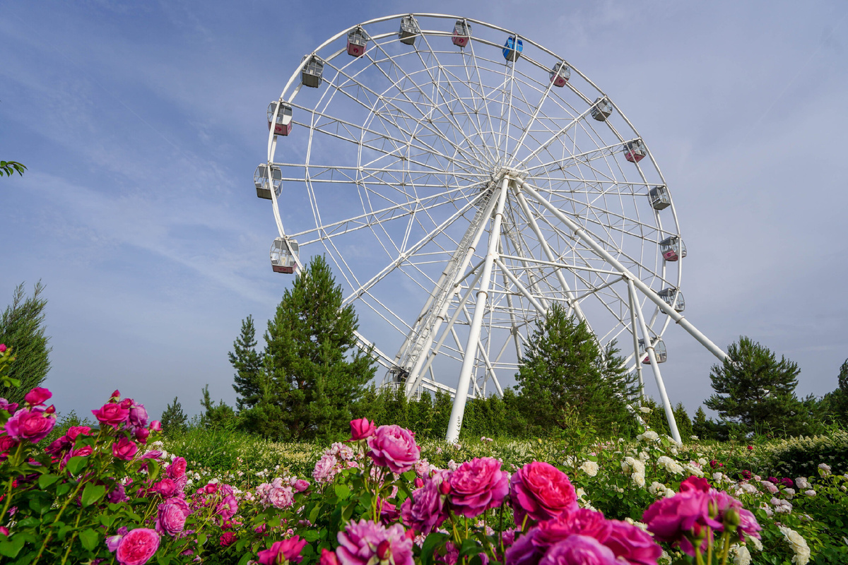 Пить утром чашку кофе и любоваться городской архитектурой, а по вечерам гулять в самом красивом парке? Звучит как план. Эстетика жизни в центре завораживает.