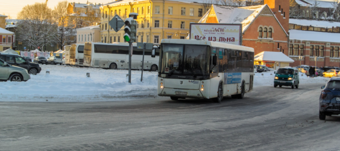 Сегодня в Якутске минус 36 градусов, казалось бы, не до цветов, но люди думают о будущем / Фото: pxhere.com