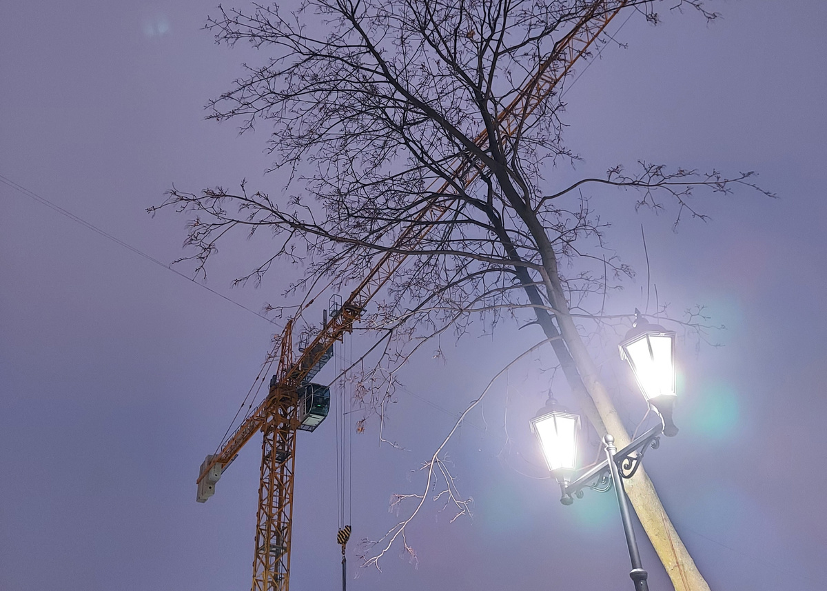 Фото – январь 2024 г.