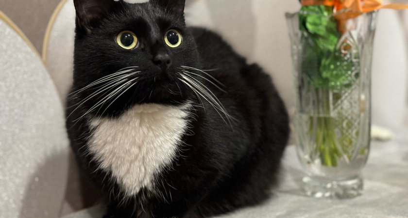    Фото из архива редакции