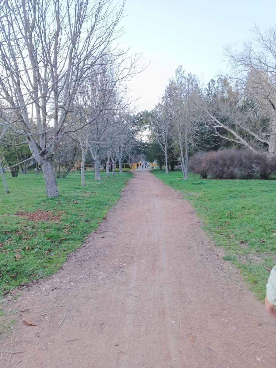 Парк обнажился... Фото Галины Малышевой.