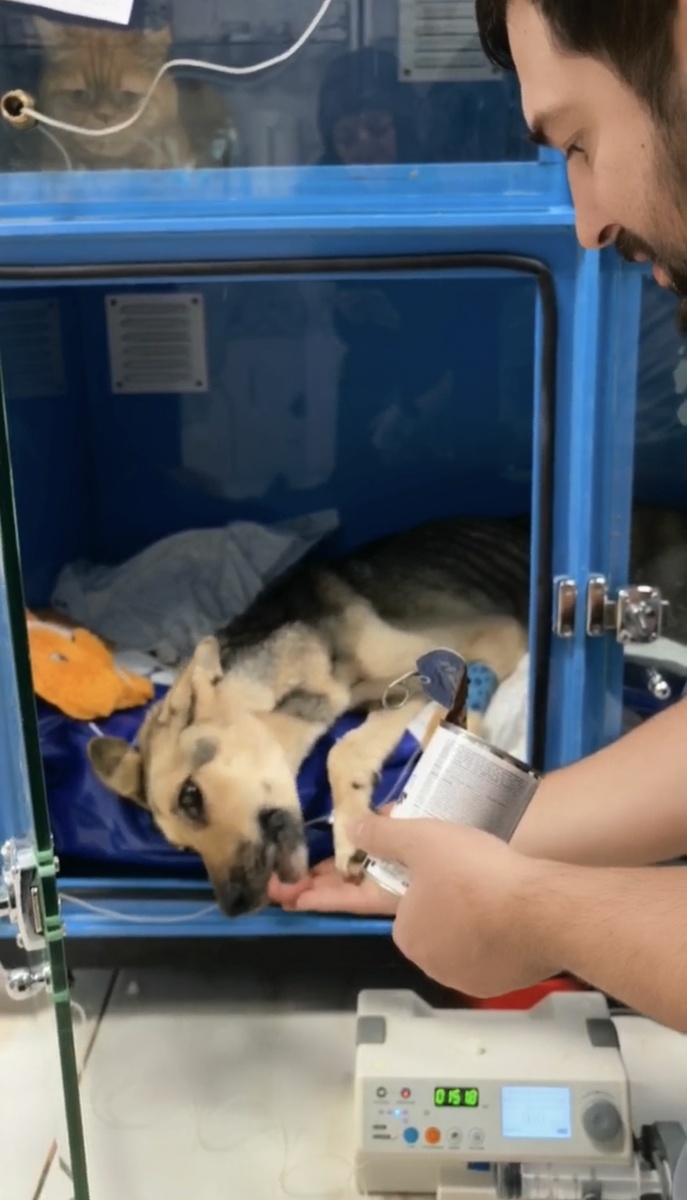 Есть ей, правда, еще сложно. Фото из архива автора