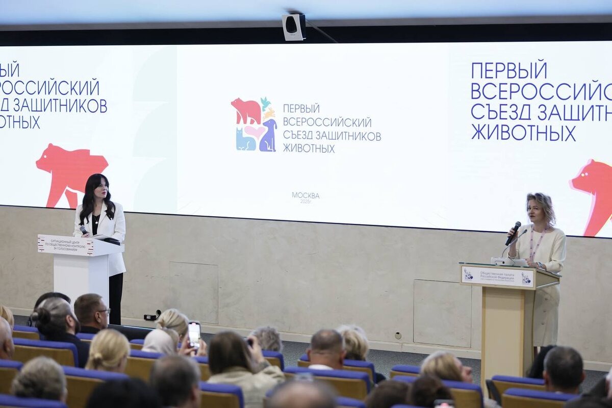 В Общественной палате РФ прошёл первый съезд зоозащитников, об этом мероприятии сообщили практически во всех СМИ