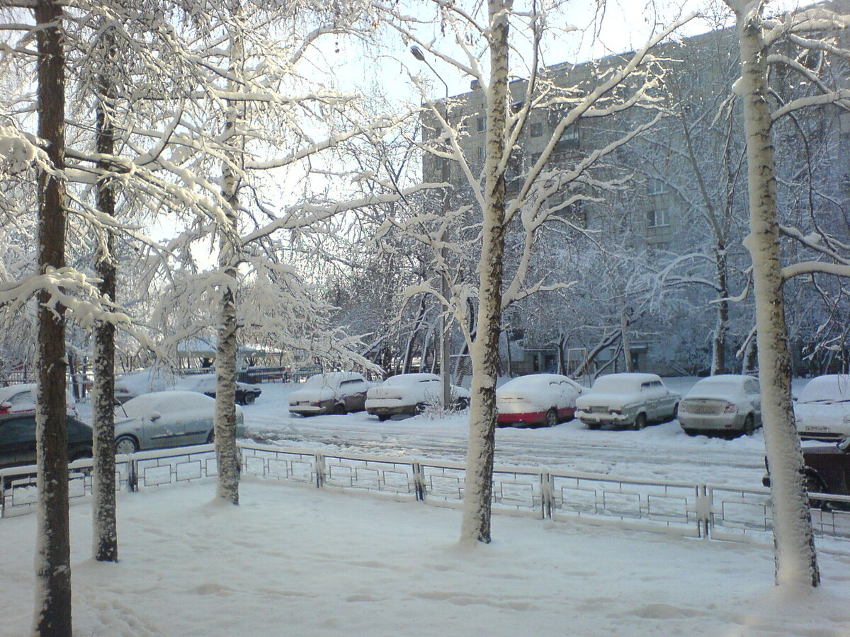 Фото автора. 