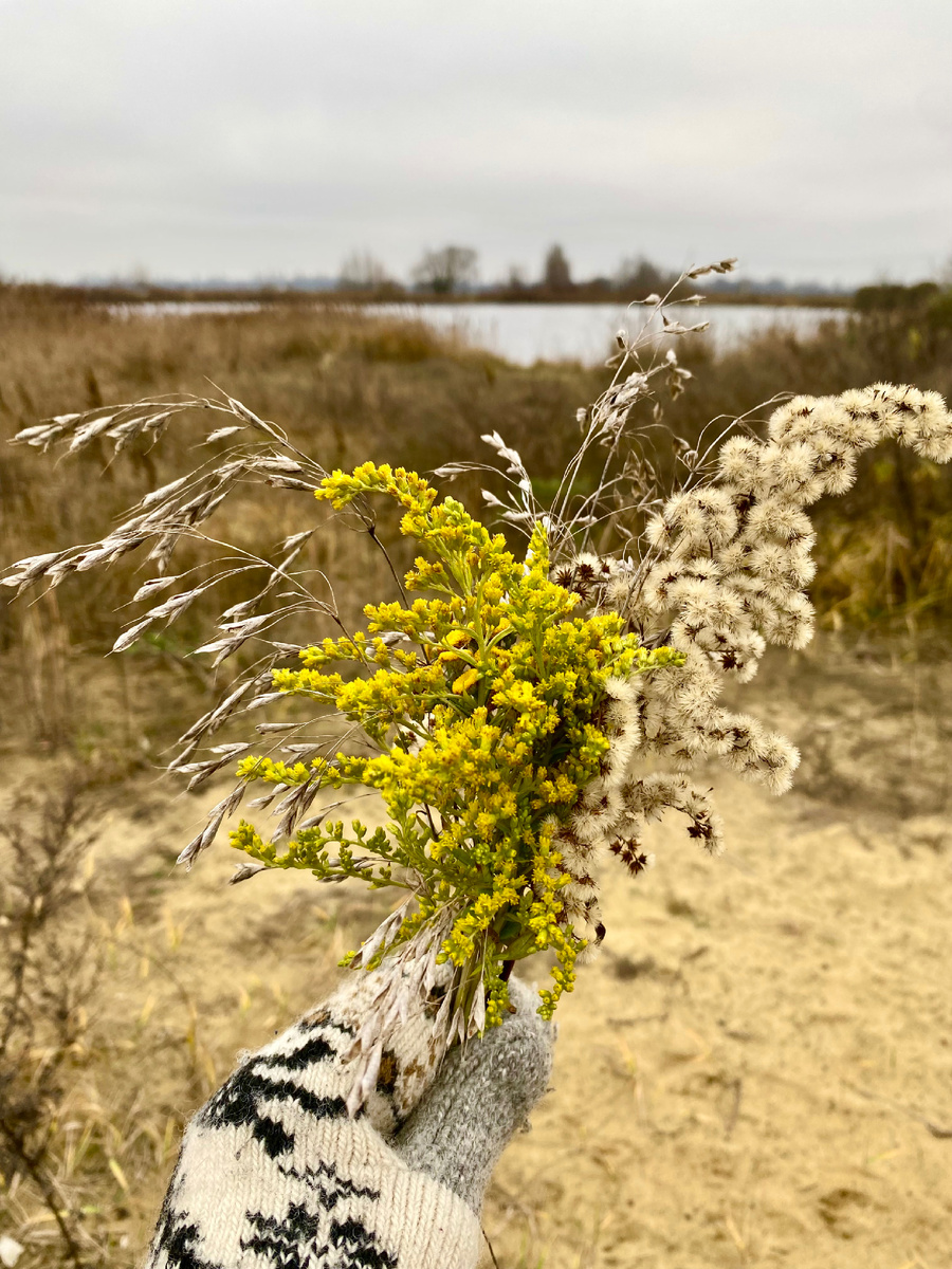 Возможно последний букетик 2025