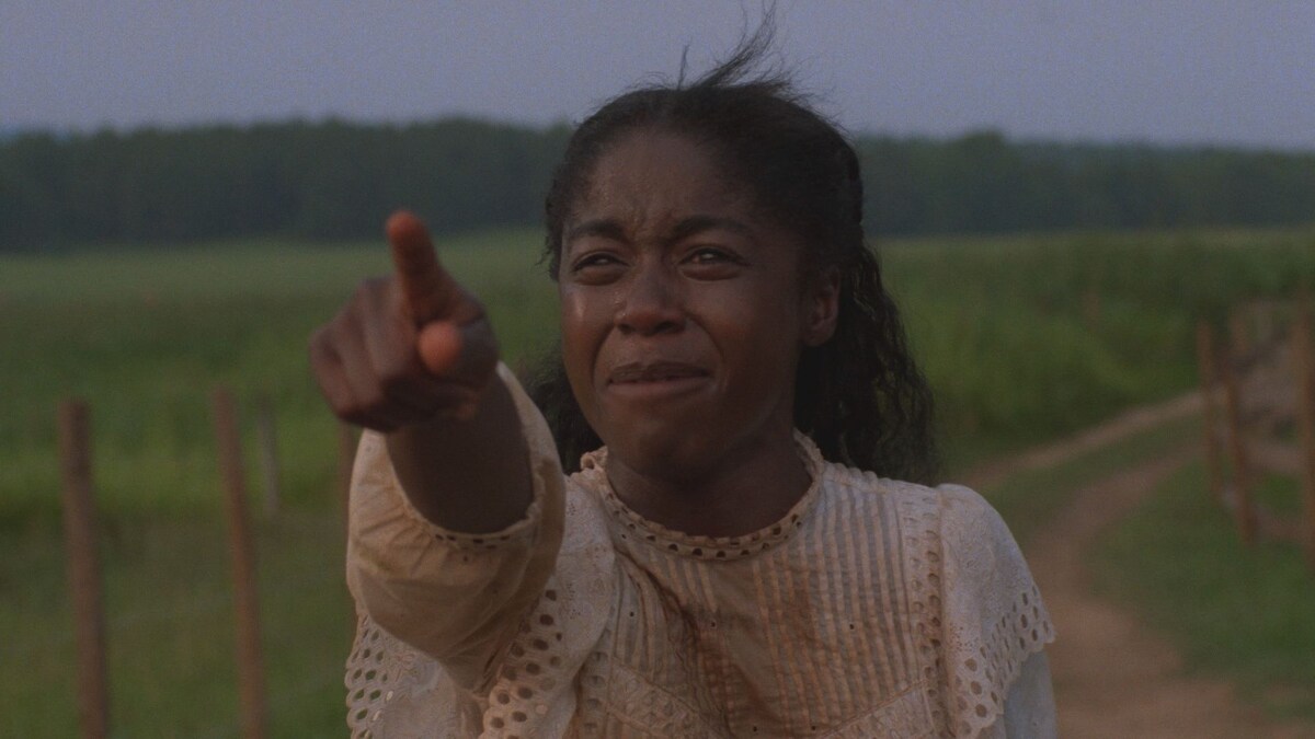 Фильм Стивена Спилюерга «Цвет лиловых полей» затрагивает тему дискредитации, но не столько расовой, сколько половой