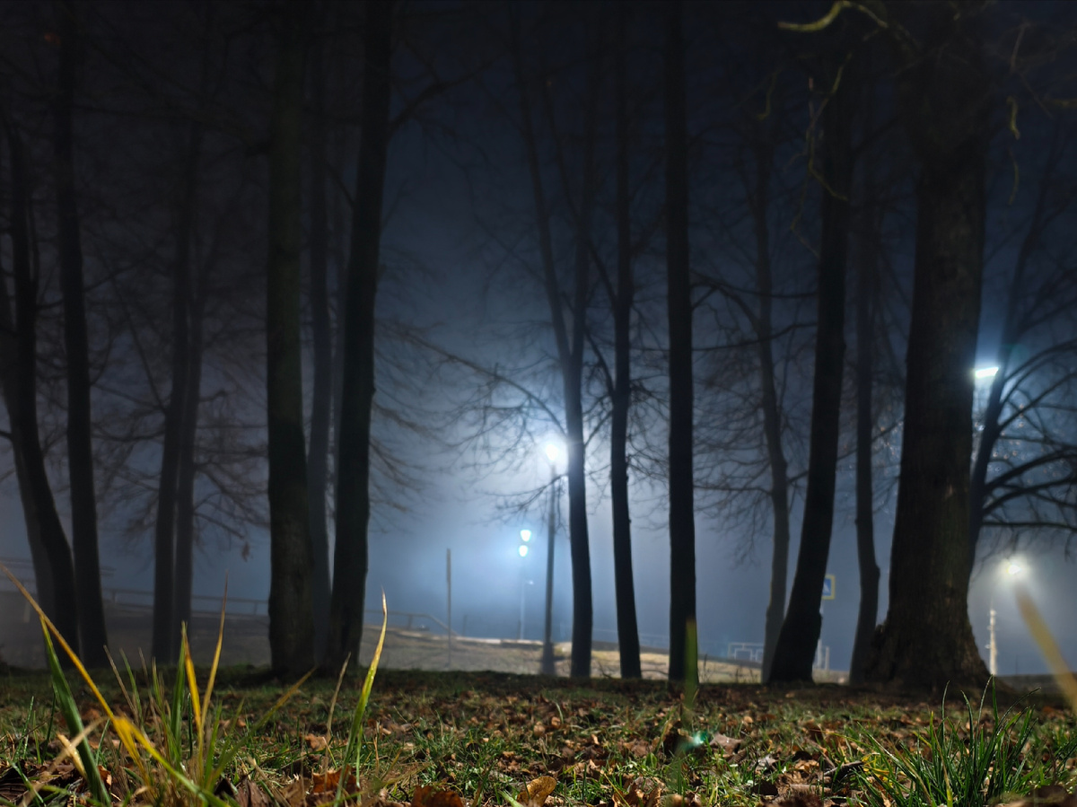 Осенний туман