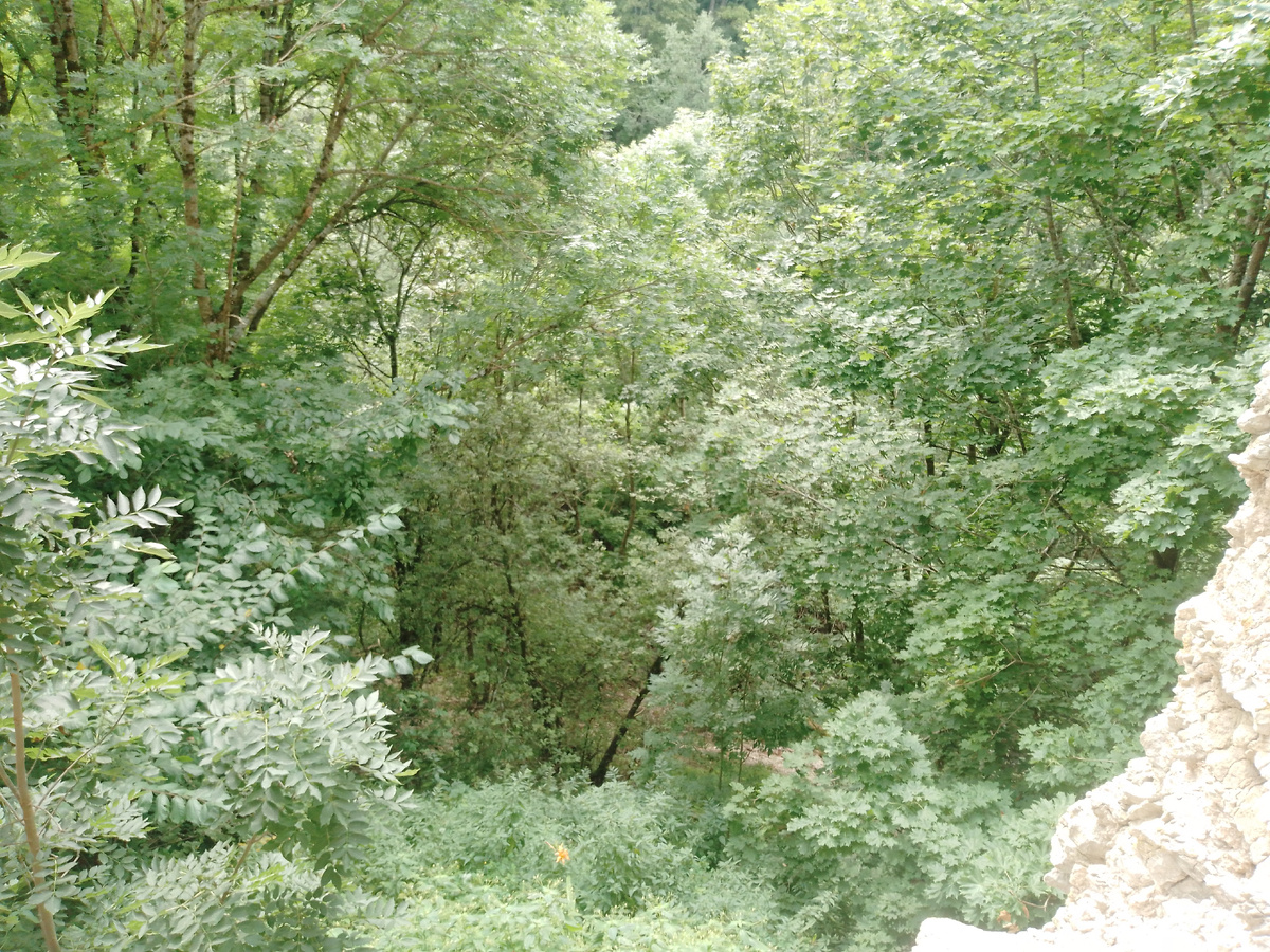 Вид на овраг от южной стены крепости. Внизу течет речка Копорка.