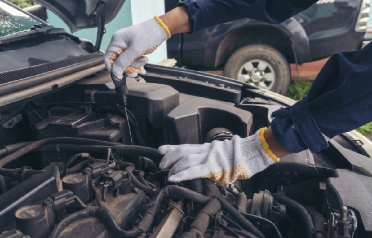 Фото взято с интернета 